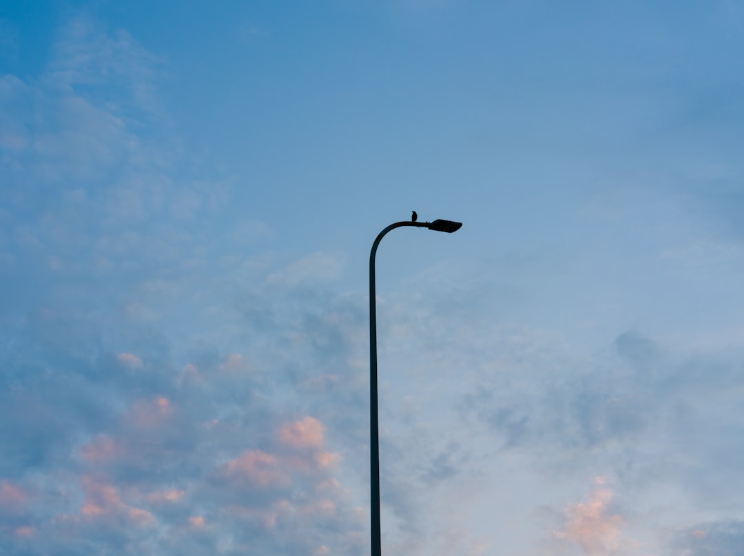 Photo sunset lamp