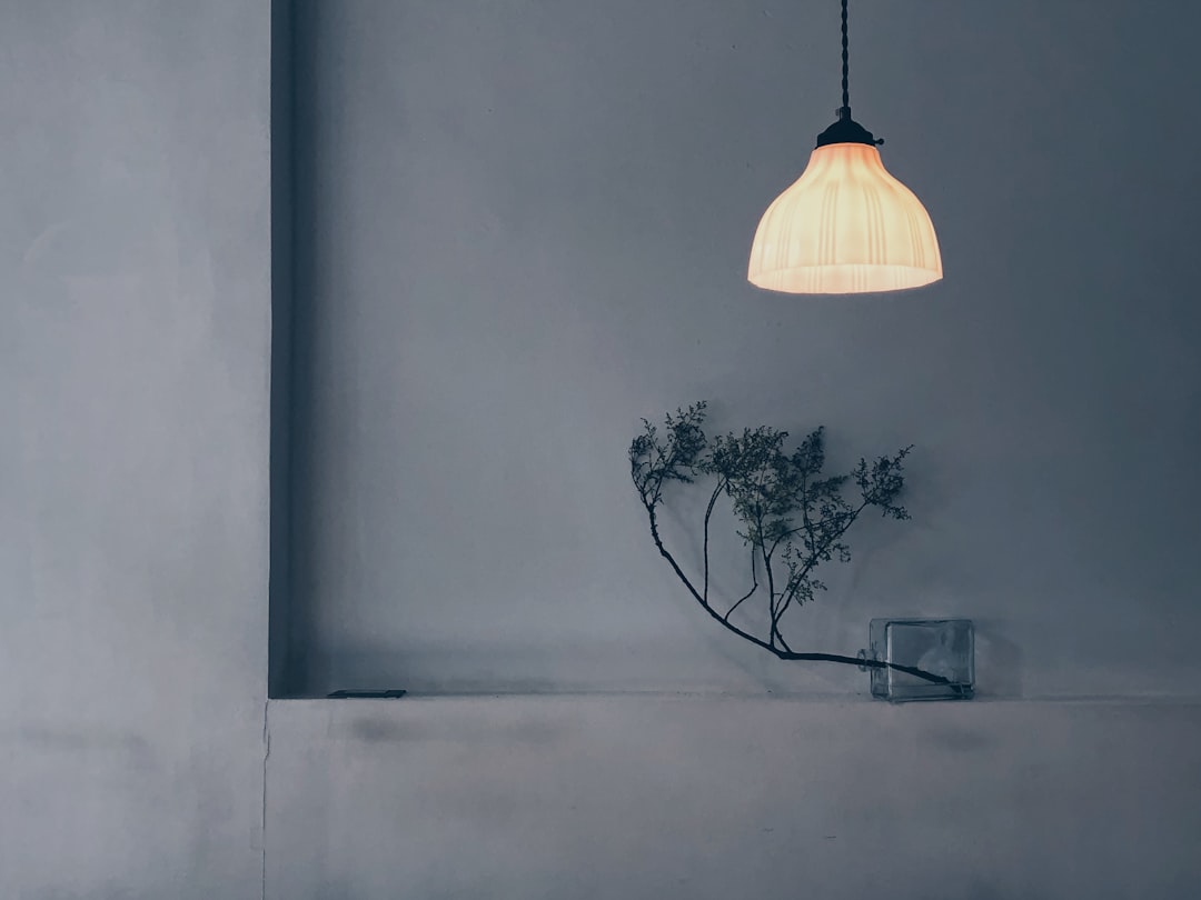 Photo pendant lamp