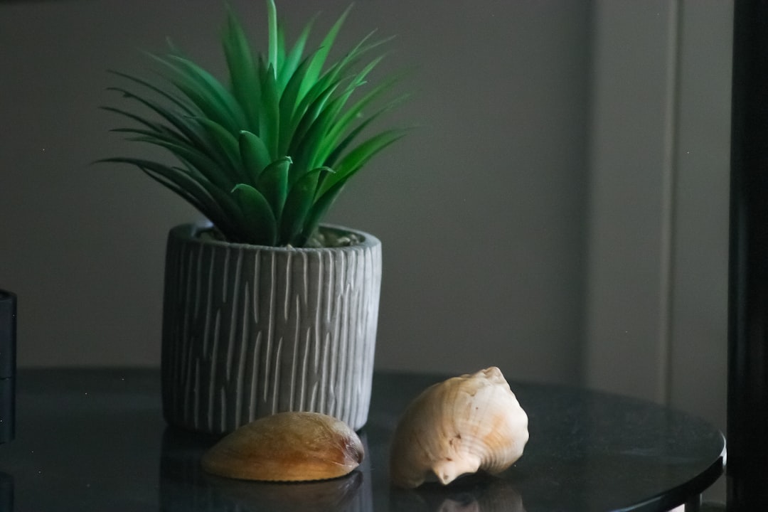 Photo coastal nightstand shell table lamp